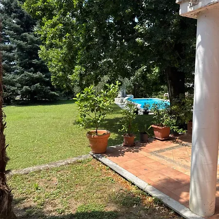 Bozic Apartamento *